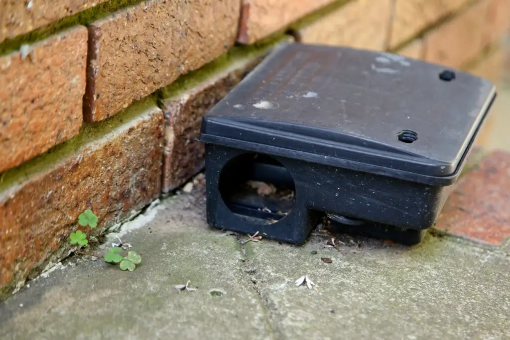 Rodent bait station placed outside a commercial building