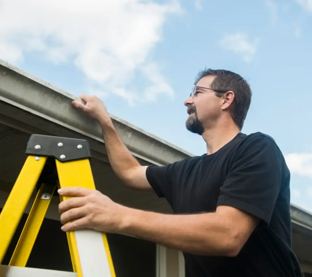 Technician inspecting a roofline for wildlife entry points